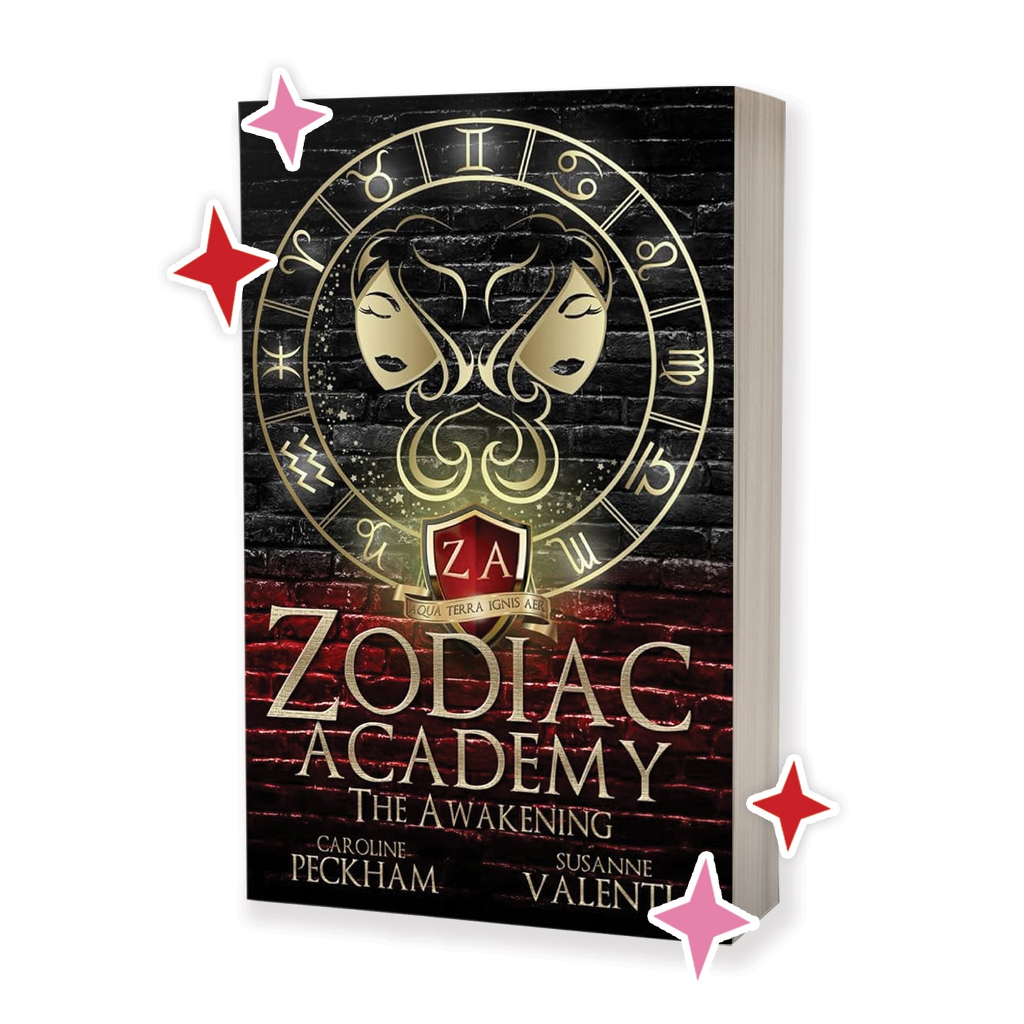 Zodiac Academy Series by Caroline Peckham and Susanne Valenti