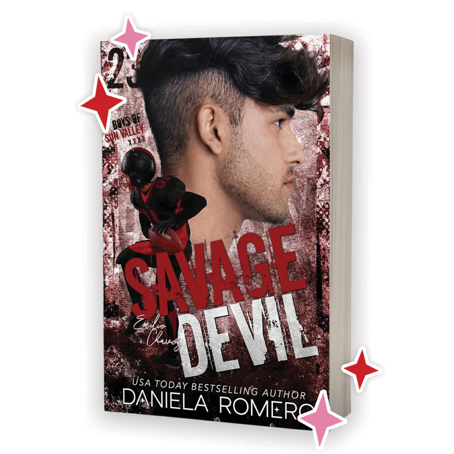 Boys of Sun Valley series by Daniela Romero