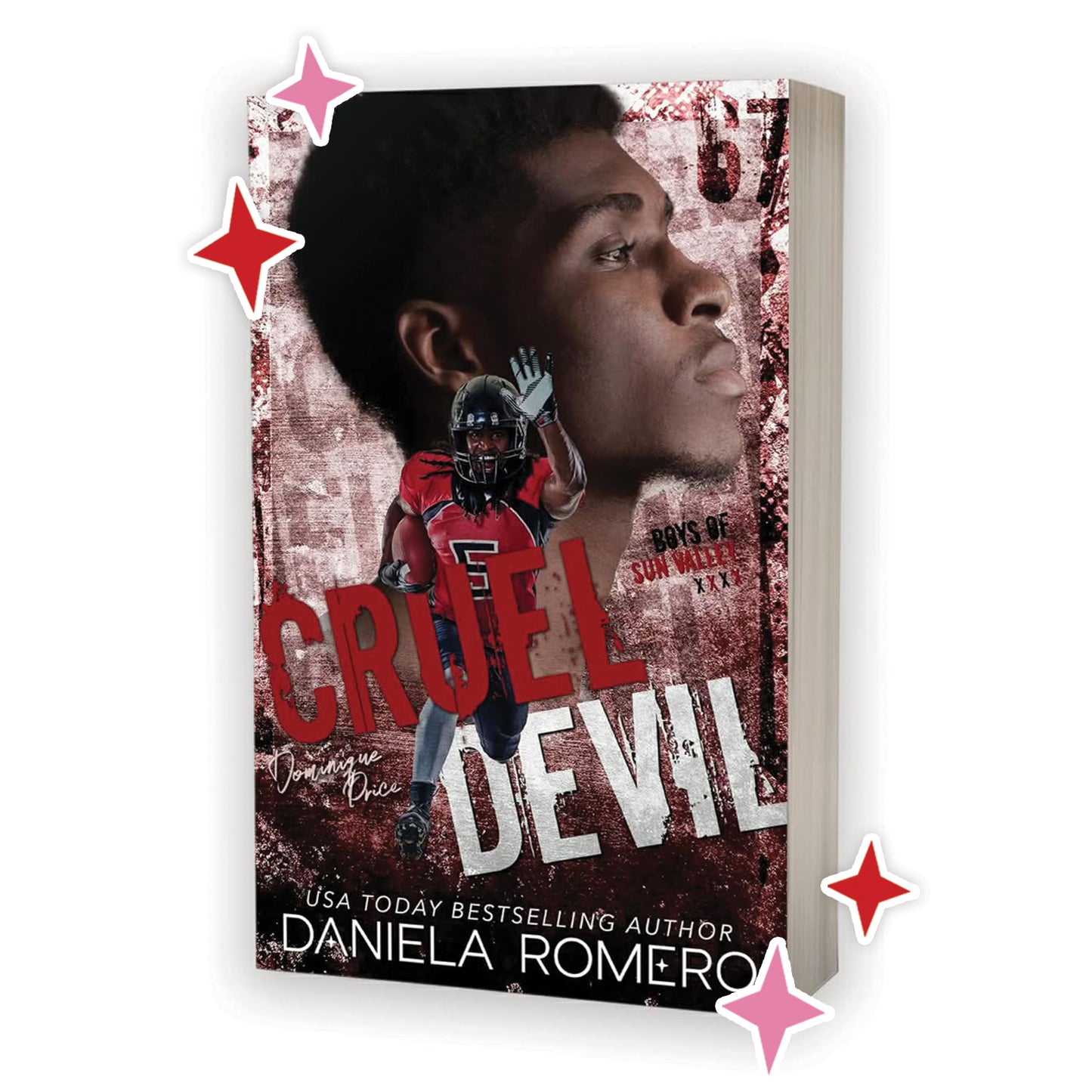 Boys of Sun Valley series by Daniela Romero