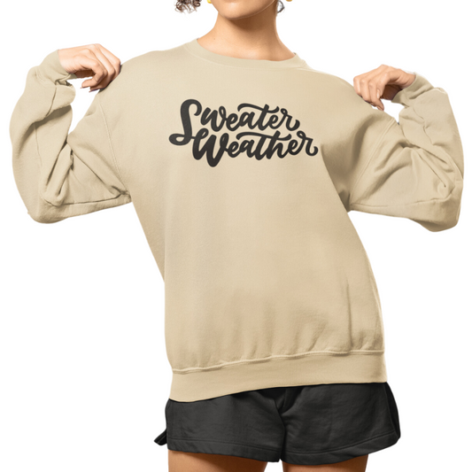 Sweater Weather Embroidered Sweatshirt
