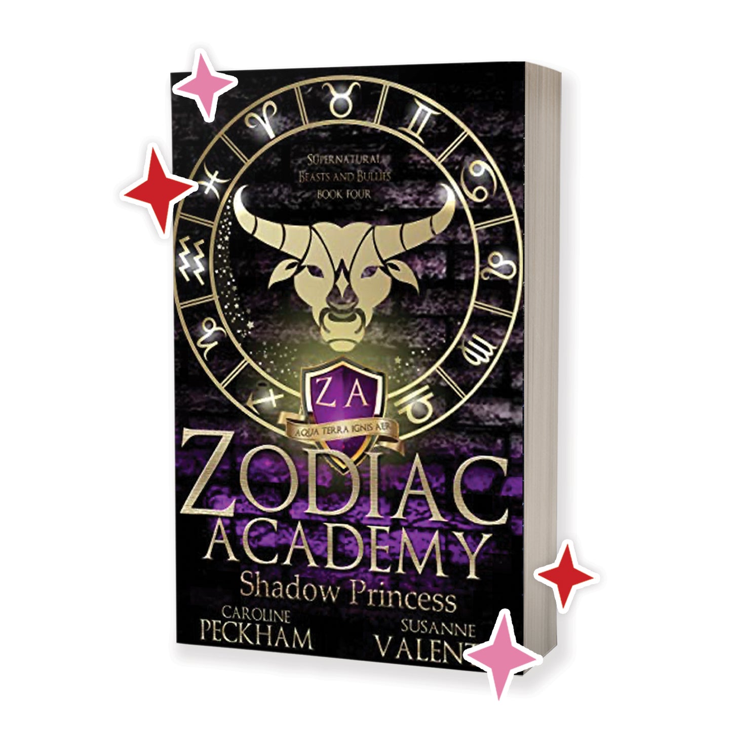 Zodiac Academy Series by Caroline Peckham and Susanne Valenti