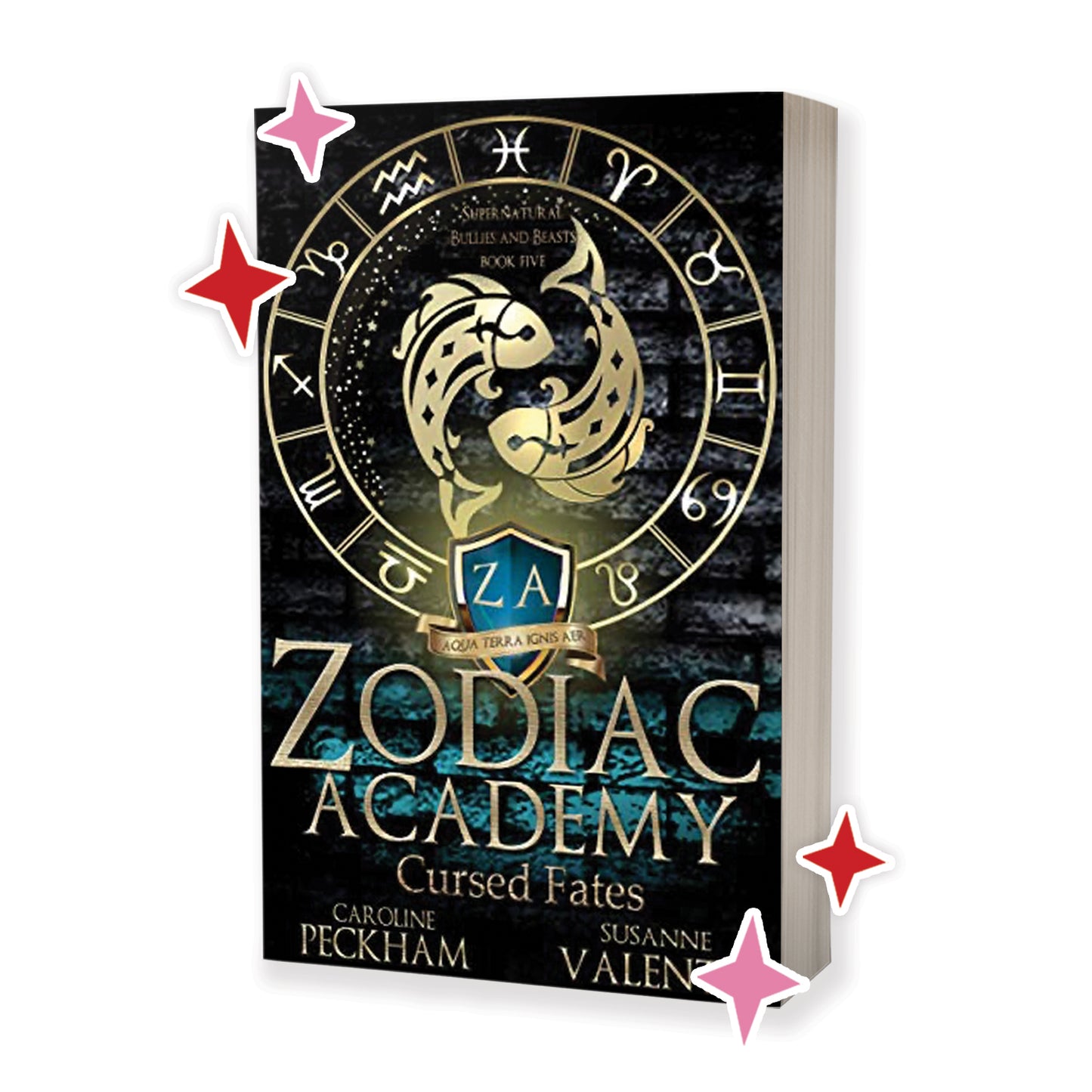 Zodiac Academy Series by Caroline Peckham and Susanne Valenti