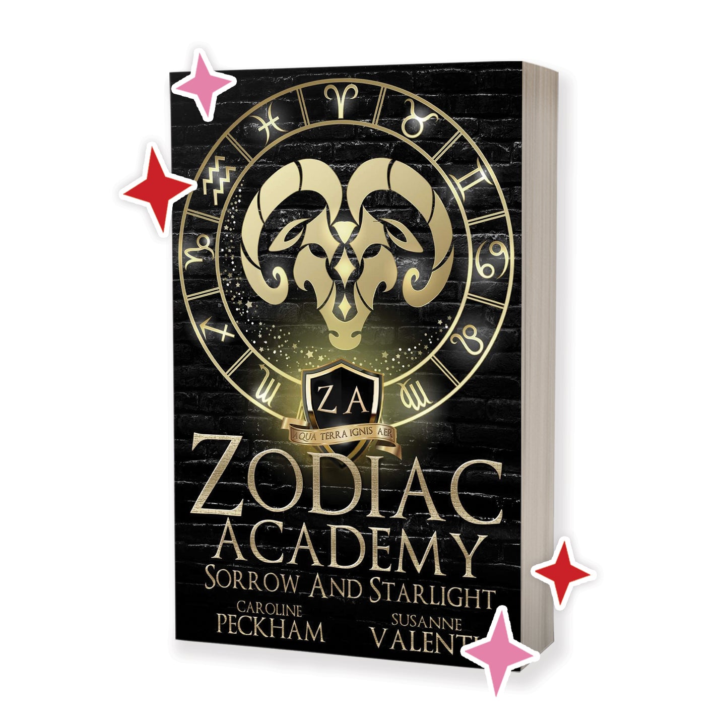 Zodiac Academy Series by Caroline Peckham and Susanne Valenti